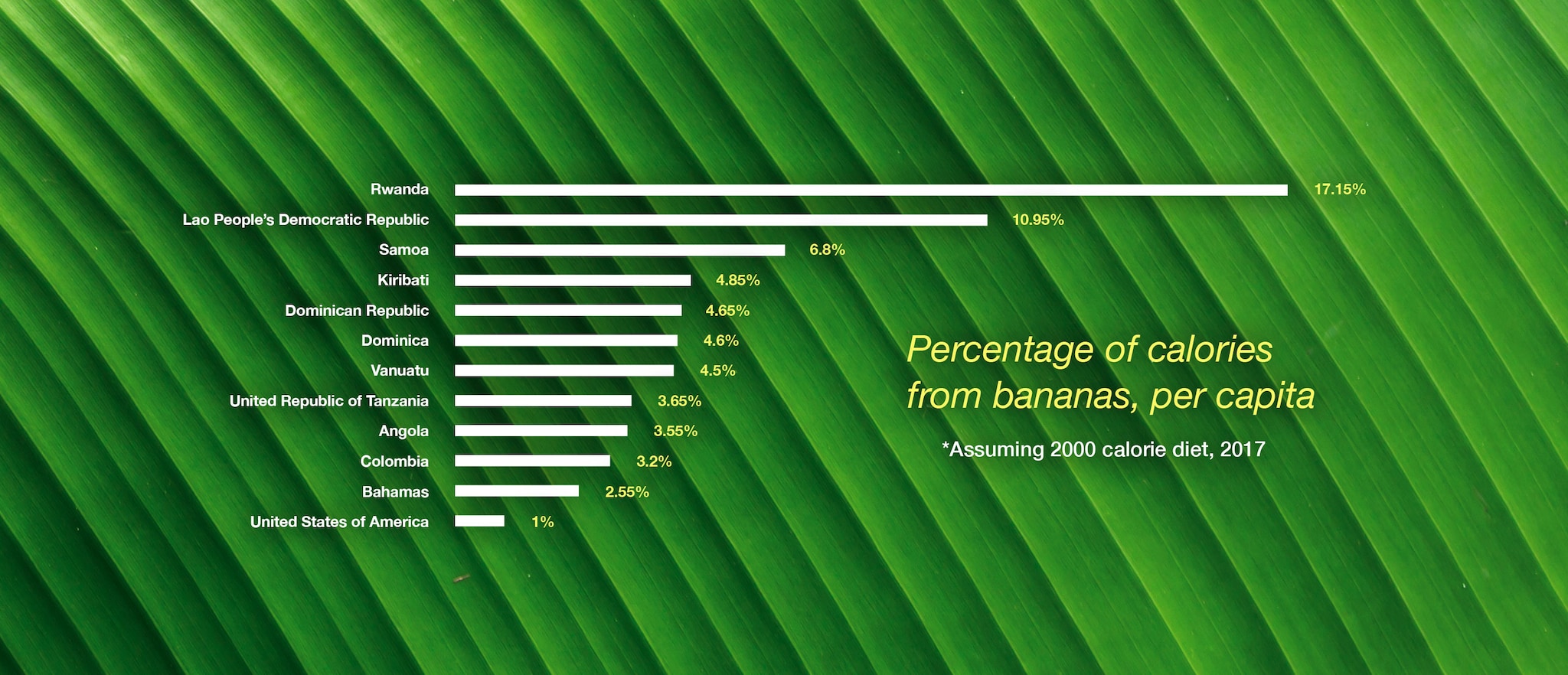 History of Bananas Bayer Global